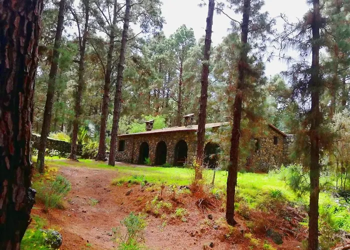 Monte Frio De Tenerife