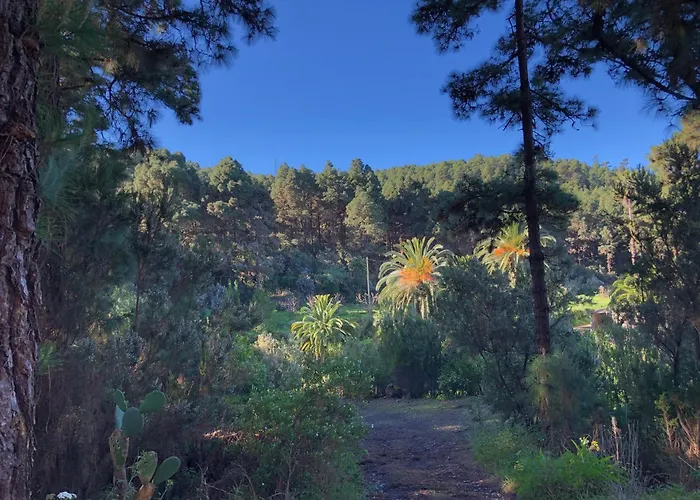 Monte Frio De Tenerife