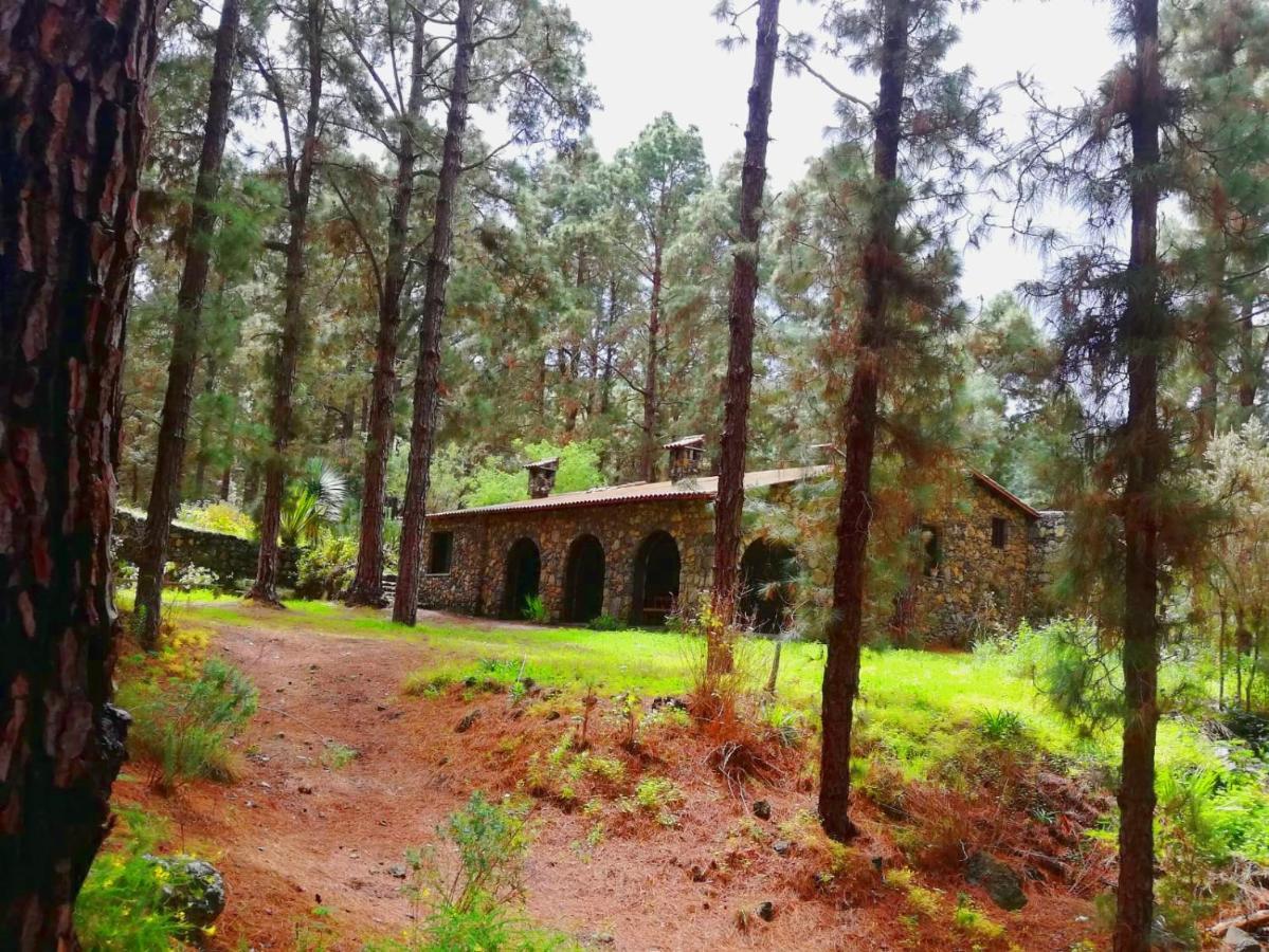 Gospodarstwo wiejskie Monte Frio De Tenerife *