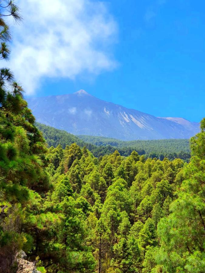 Gospodarstwo wiejskie Monte Frio De Tenerife La Guancha