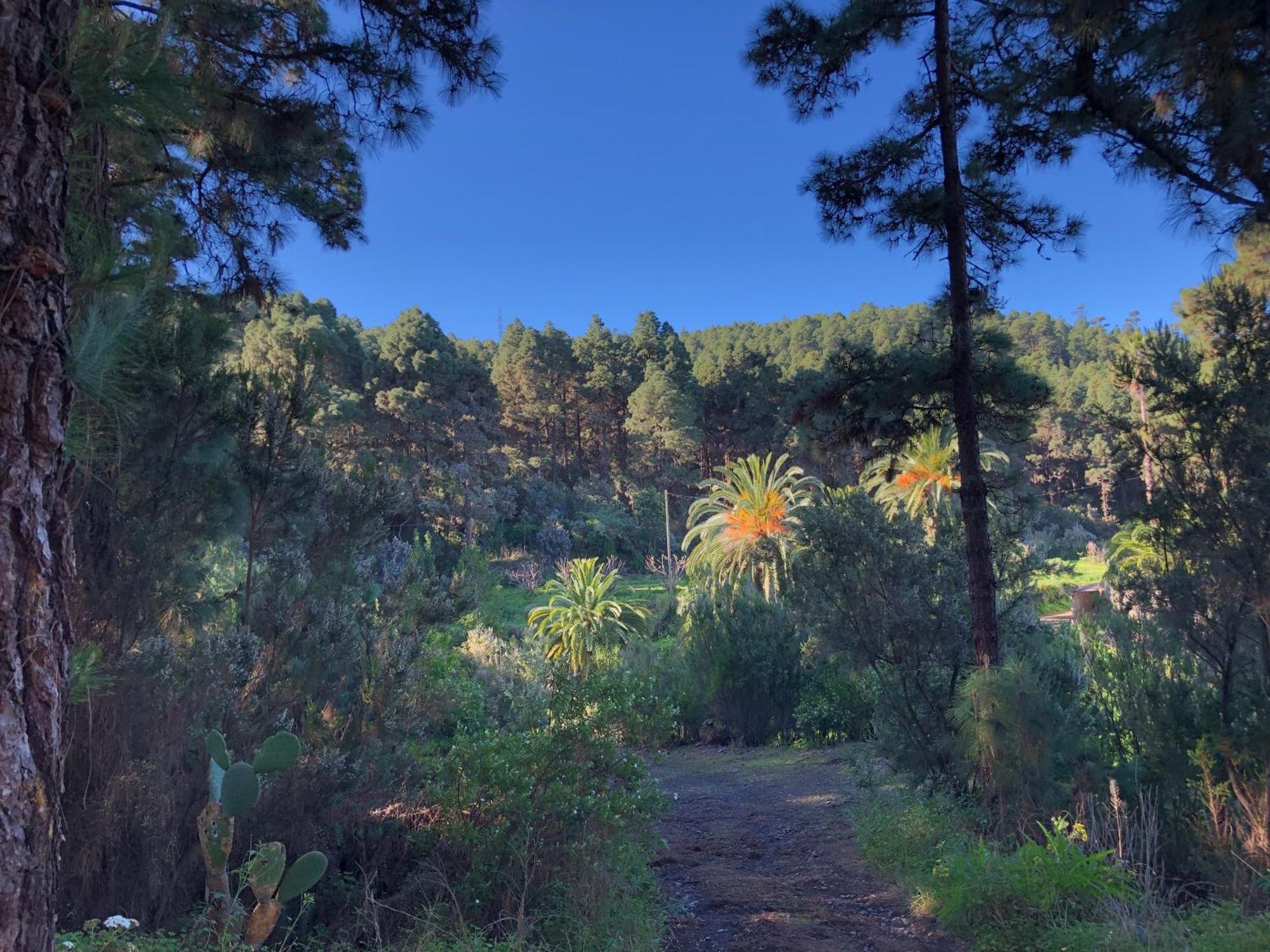 Monte Frio De Tenerife Gospodarstwo wiejskie