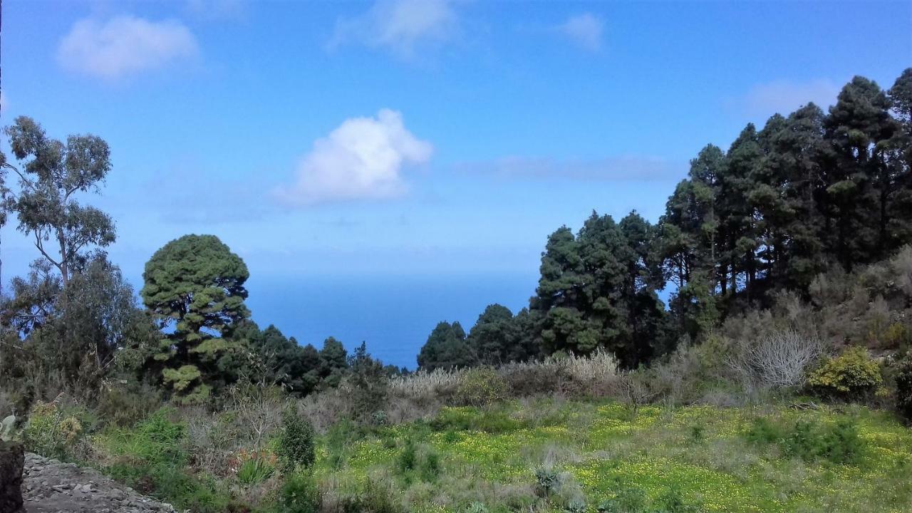 Gospodarstwo wiejskie Monte Frio De Tenerife